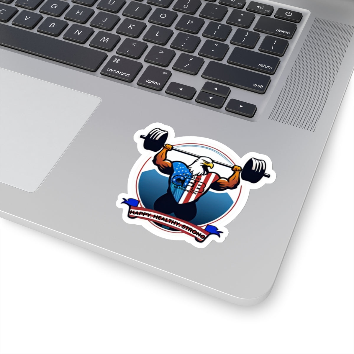 CFB Bald Eagle Sticker