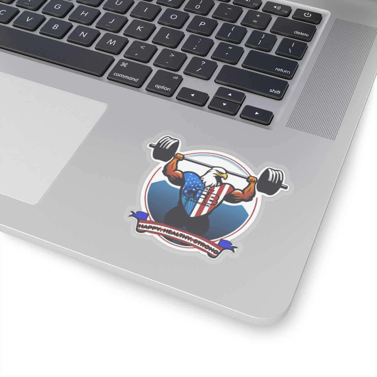 CFB Bald Eagle Sticker