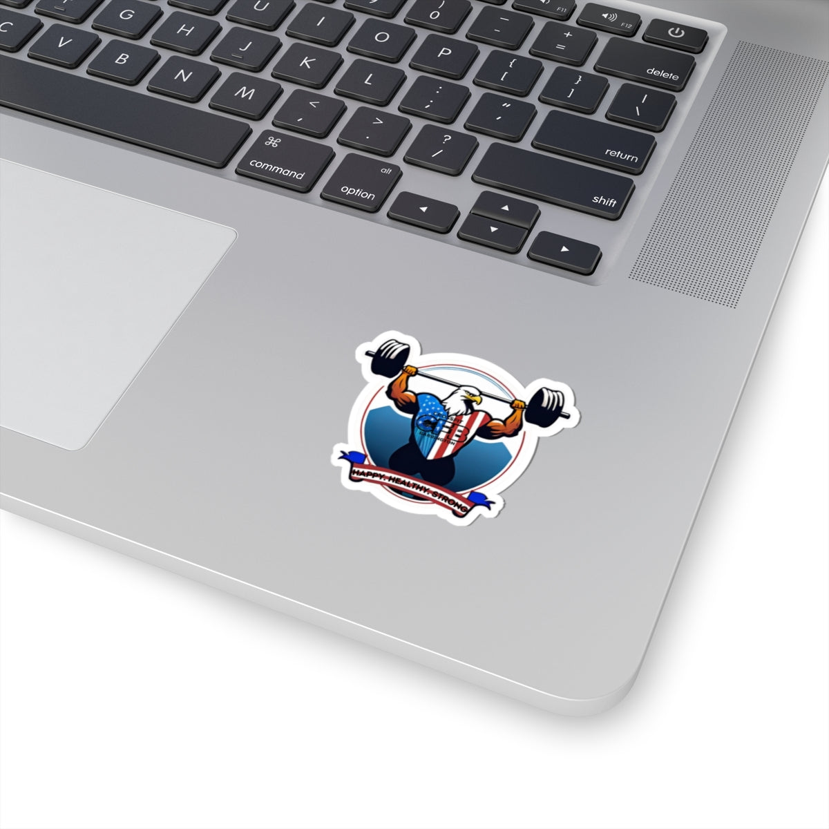 CFB Bald Eagle Sticker